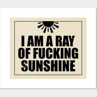 I Am a Ray Of Sunshine Funny Posters and Art